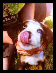 NoseTastesGood