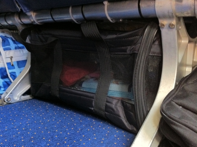carrier2 under the seat