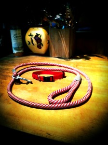 collar collar