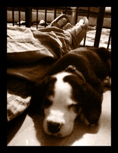 sleeping sleeping