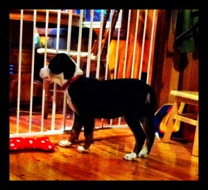 14Weeks