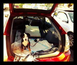car2