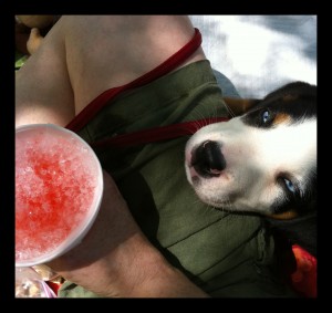 snowCone snow cone