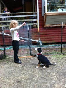 training1