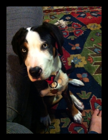 20110828-074031.jpg