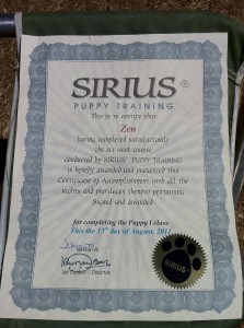 certificate certificate