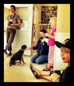 lastdayofpuppyClass last day of puppy class