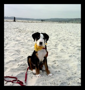 firstBeach