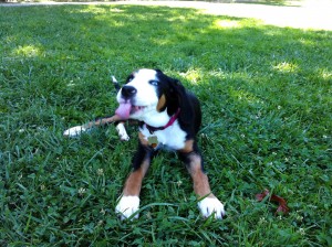 inTheGrass4