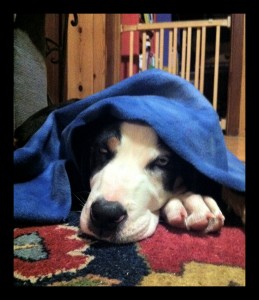 underBlanket