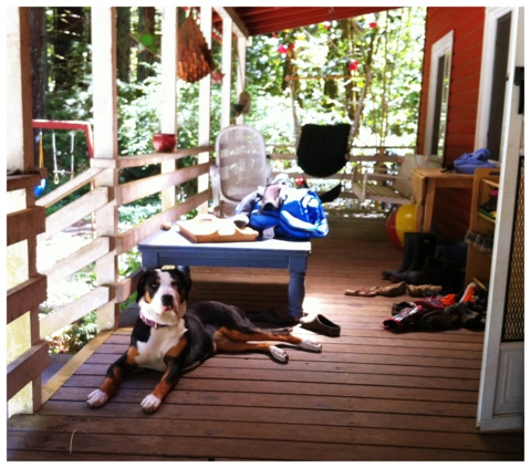 20120419-165945.jpg