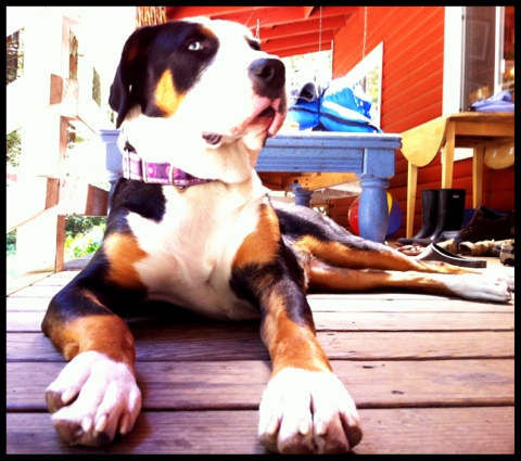 20120419-165957.jpg