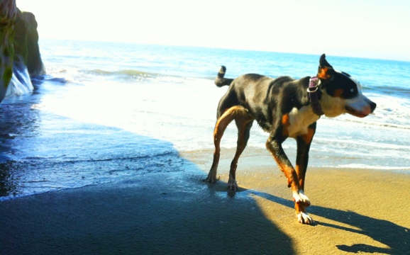 20120421-105015.jpg
