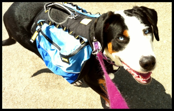 20120426-160200.jpg