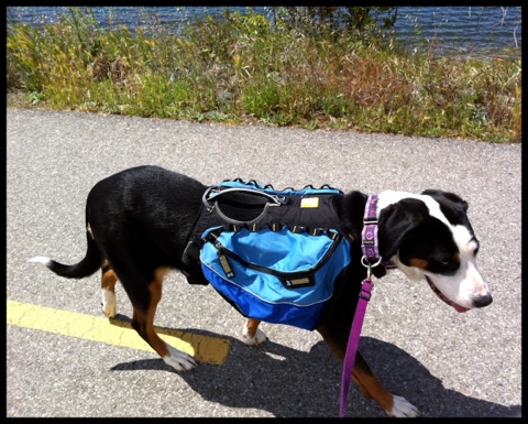 20120426-160227.jpg