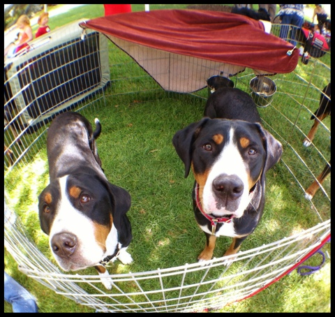 20120506-212106.jpg
