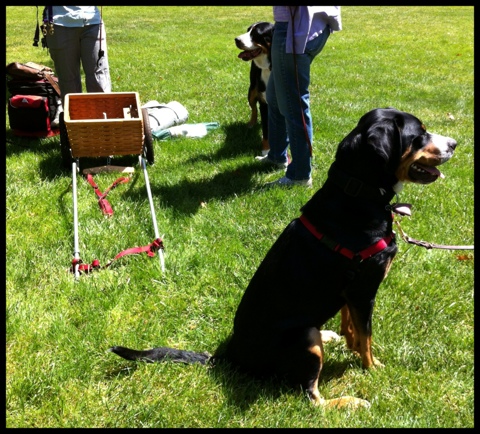 20120506-212142.jpg