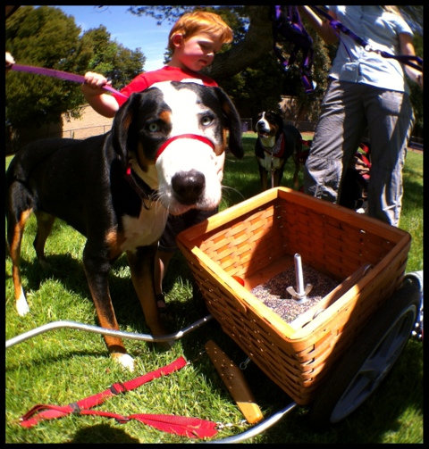 20120506-212152.jpg
