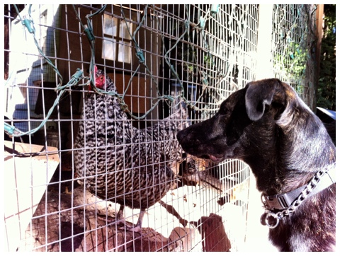 20120610-204239.jpg