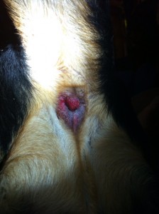 ouch2